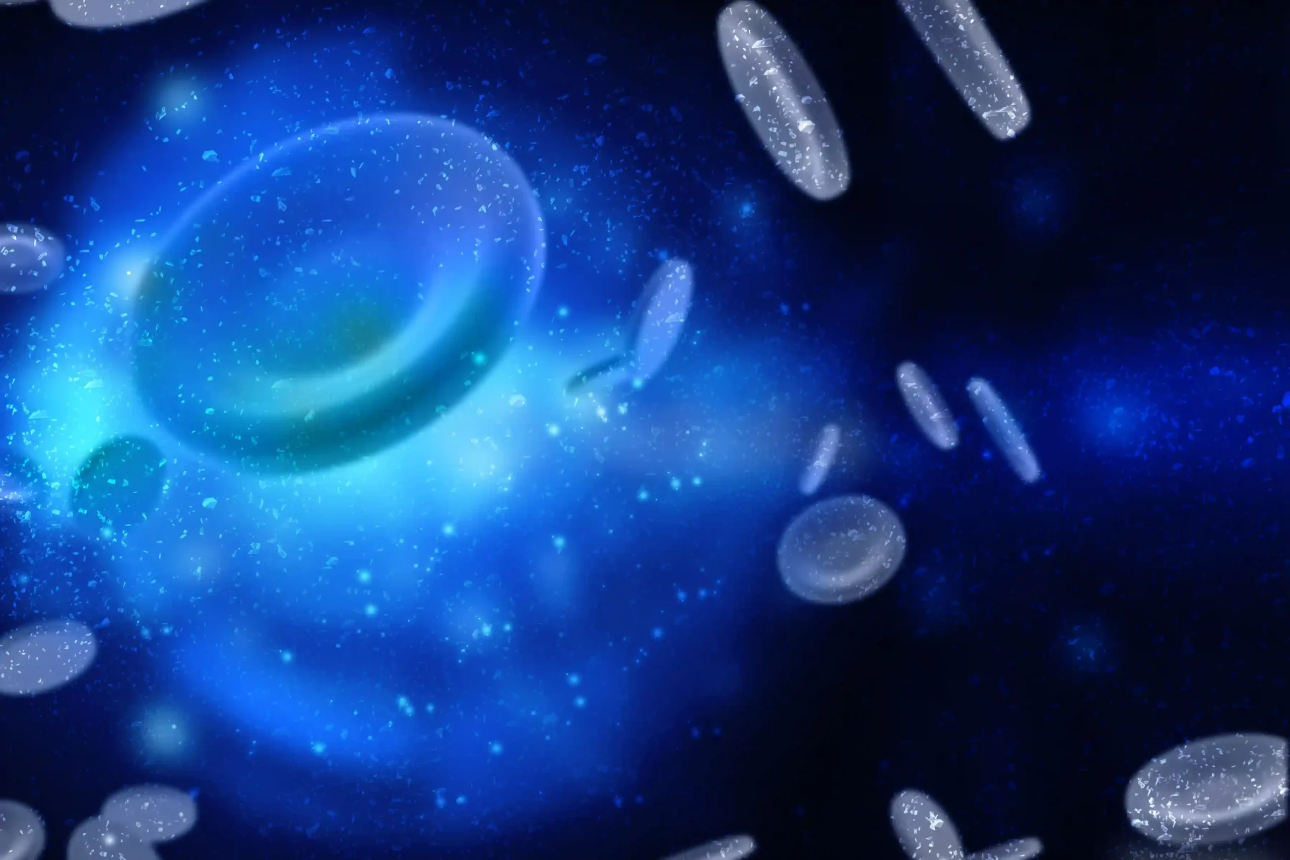 Blood Cells Banner