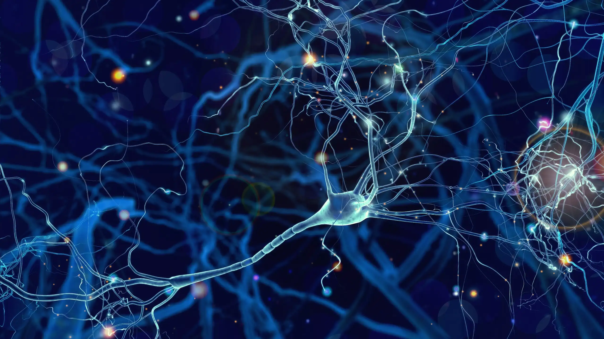 Brain cells Banner